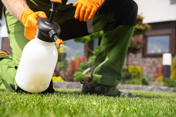  Rochester, WA Pest Control Pros
