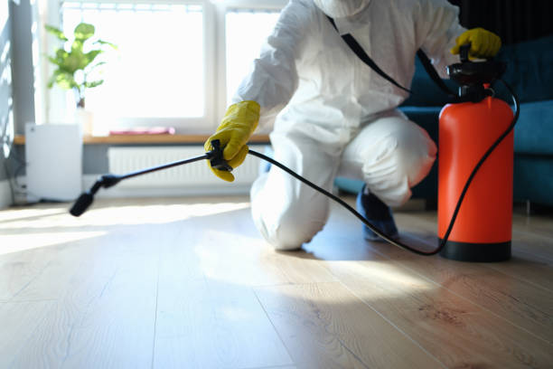 Best Mosquito Control Services  in Rochester, WA
