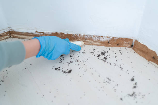 Best Commercial Pest Control Services  in Rochester, WA