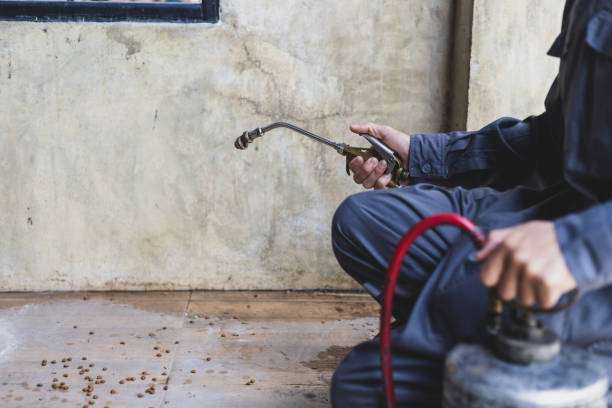 Best Pest Control for Businesses  in Rochester, WA